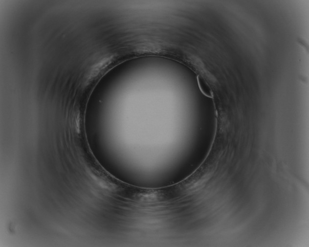 X0000093360068200710191105