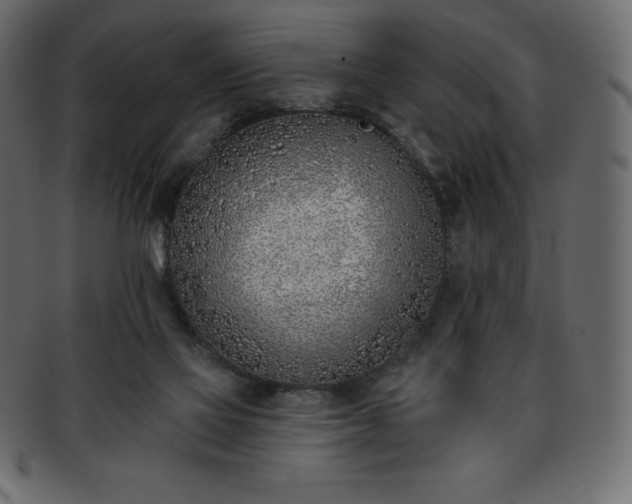 X0000093360069200710191105