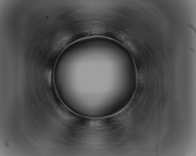 X0000093360070200710191105