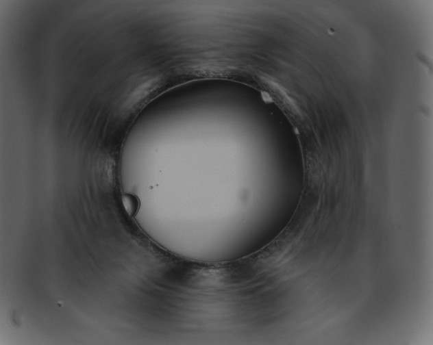 X0000093360071200710191105