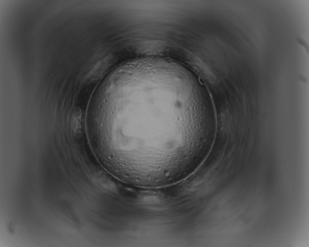X0000093360073200710191105