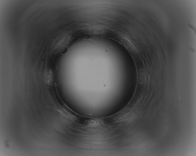 X0000093360077200710191105