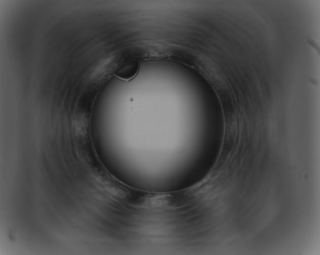 X0000093360078200710191105