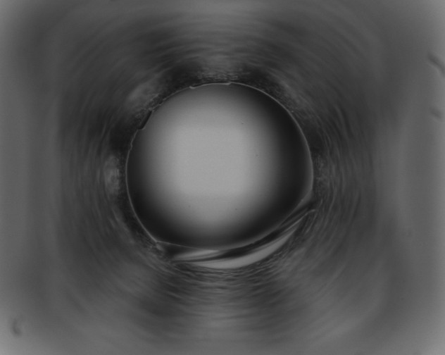 X0000093360080200710191105