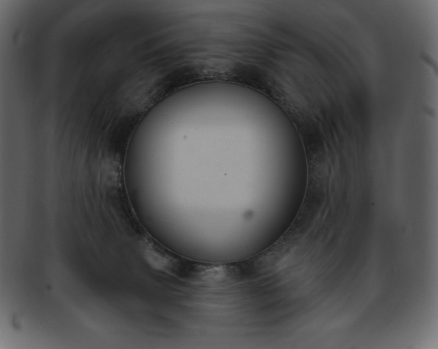X0000093360083200710191105