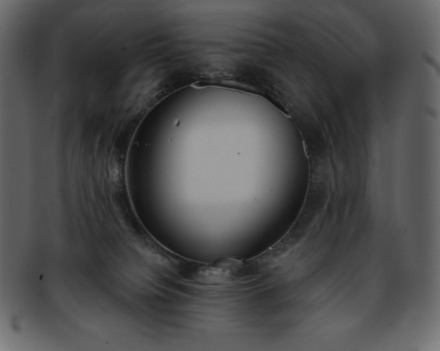 X0000093360084200710191105