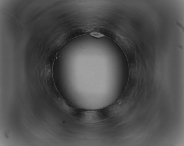 X0000093360085200710191105