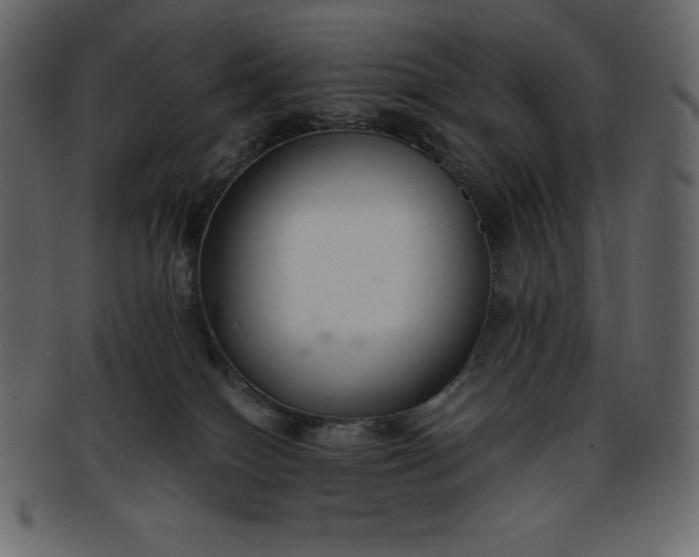 X0000093360086200710191105