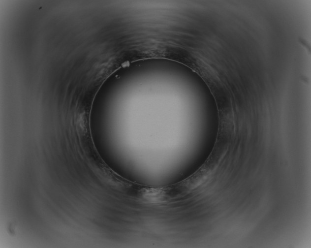 X0000093360088200710191105