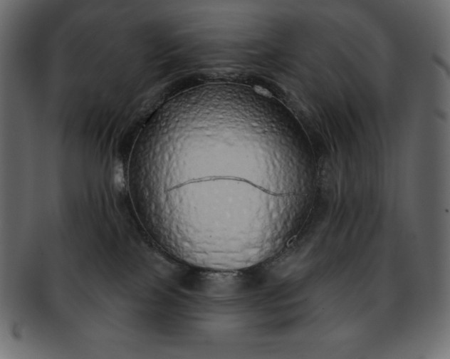 X0000093360089200710191105