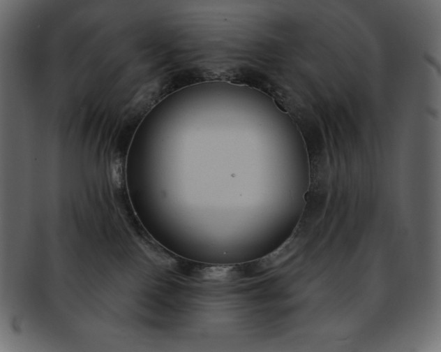 X0000093360090200710191105