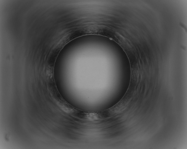 X0000093360091200710191105