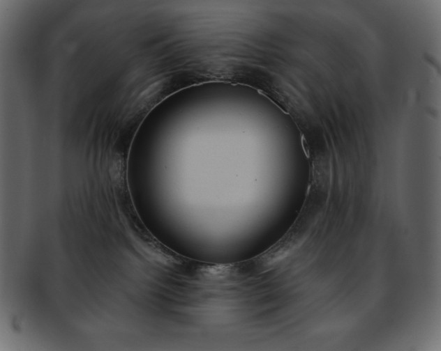 X0000093360092200710191105
