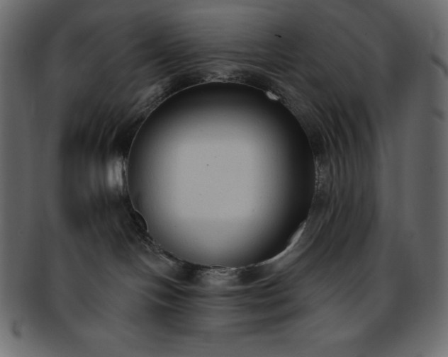 X0000093360094200710191105