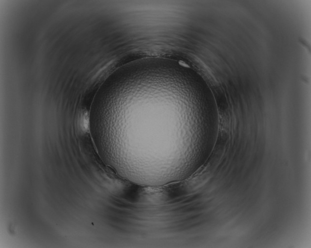 X0000093360095200710191105