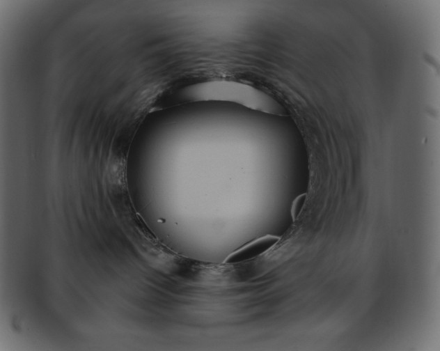 X0000093360096200710191105