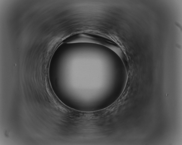 X0000093360097200710191105