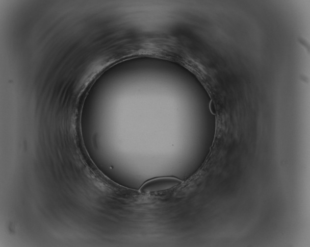 X0000093360098200710191105