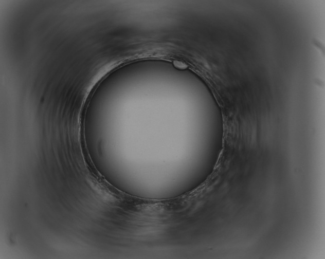 X0000093360100200710191105