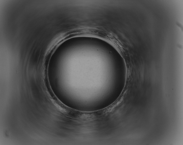 X0000093360101200710191105