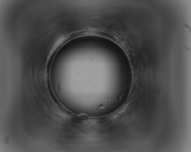 X0000093360102200710191105