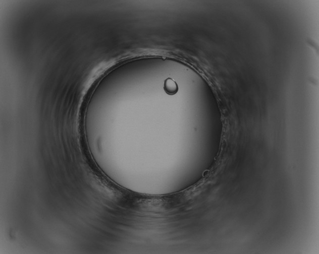 X0000093360104200710191105