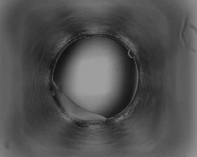 X0000093360105200710191105