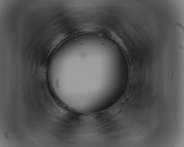 X0000093360106200710191105