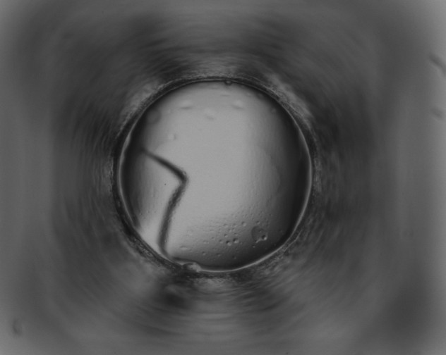 X0000093360107200710191105