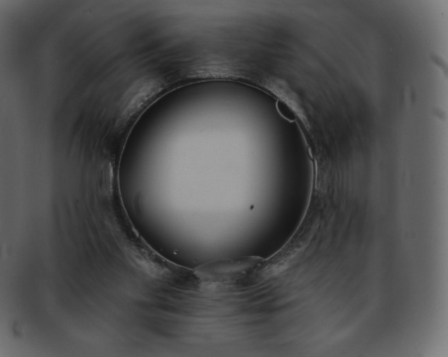X0000093360109200710191105