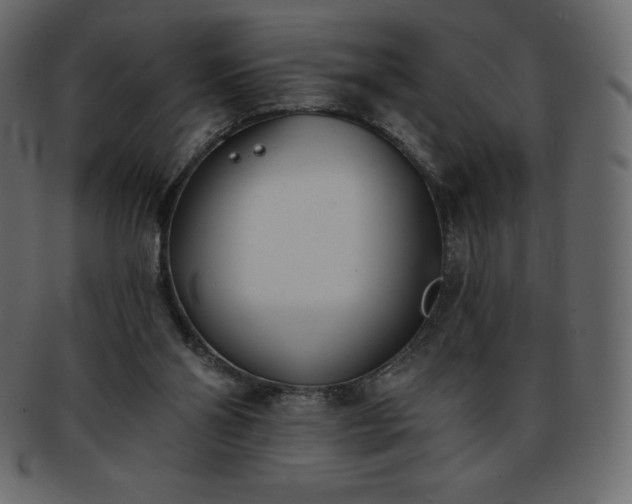 X0000093360110200710191105