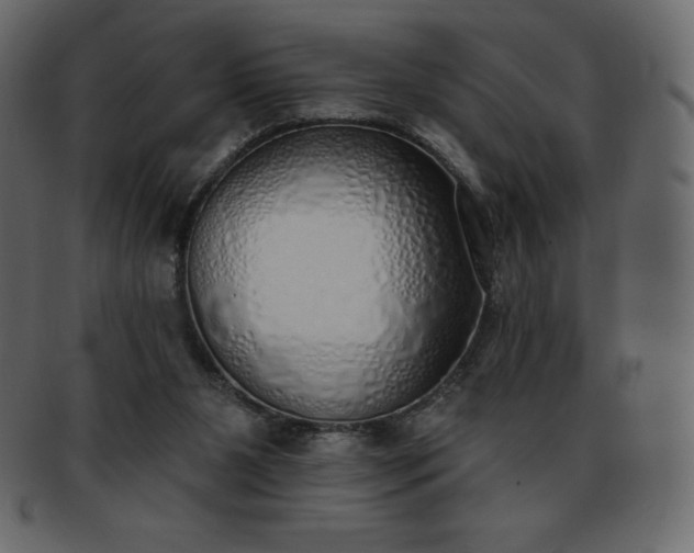 X0000093360111200710191105