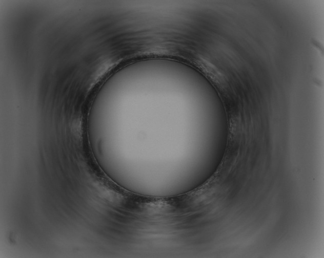 X0000093360112200710191105