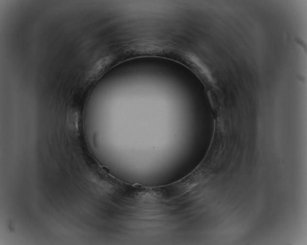 X0000093360115200710191105