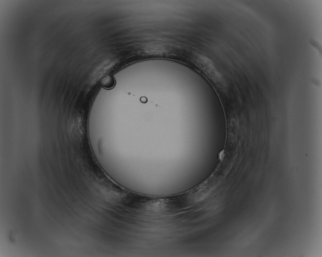 X0000093360116200710191105