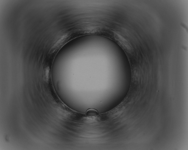 X0000093360118200710191105