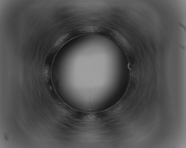 X0000093360119200710191105