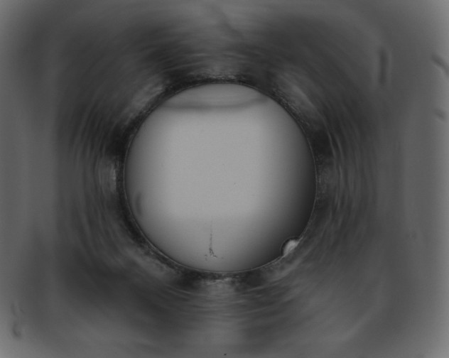 X0000093360120200710191105