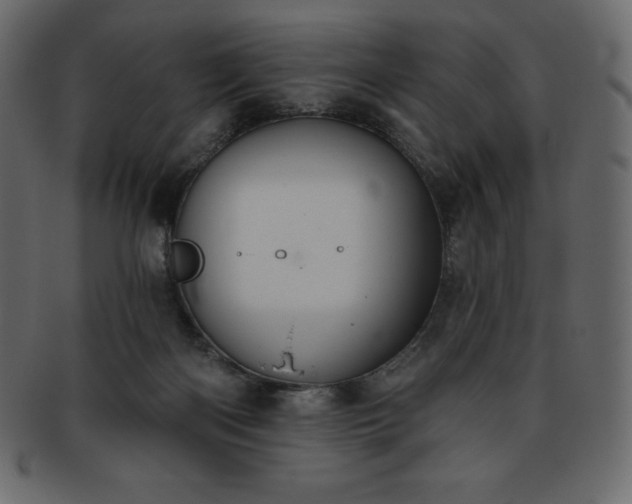 X0000093360122200710191105