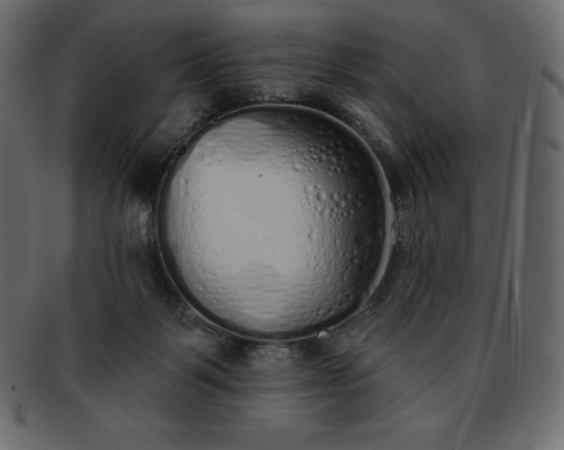 X0000093360123200710191105