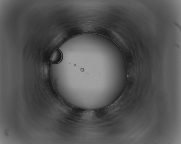 X0000093360124200710191105