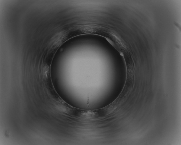 X0000093360125200710191105