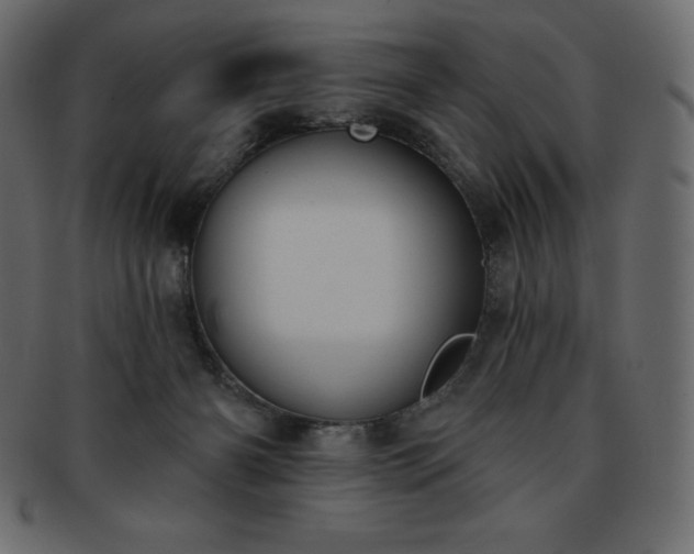 X0000093360126200710191105