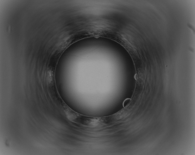 X0000093360130200710191104