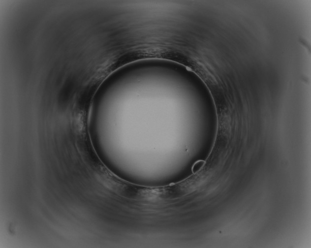 X0000093360131200710191104