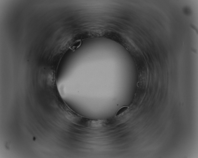 X0000093360134200710191104