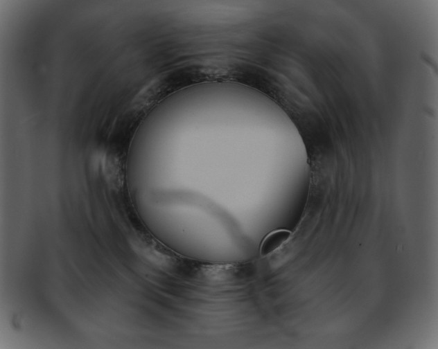 X0000093360136200710191104