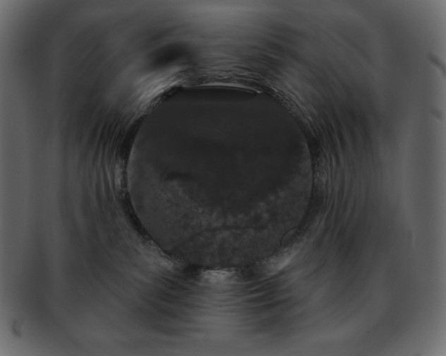 X0000093360139200710191104