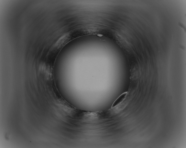 X0000093360140200710191104