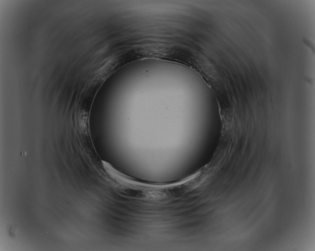 X0000093360141200710191104